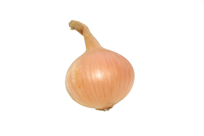 onionbulb
