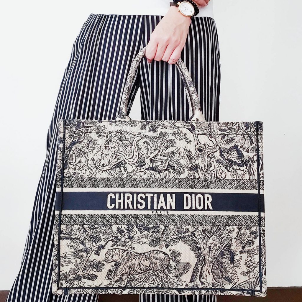 Bag Review: Dior Toile de Jouy Book 